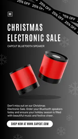 Electronic Speaker Christmas Sale