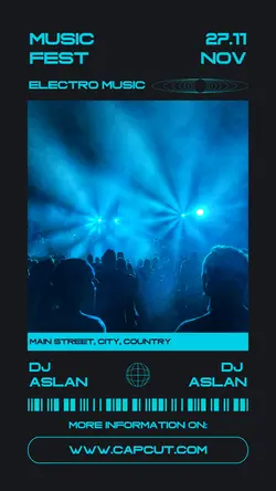 music festival flyer instagram story