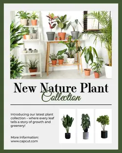 New Nature Plant Collection Instagram Post