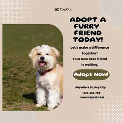 Pet Adoption Instagram Post