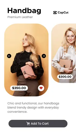 Handbag Promotion Instagram Story