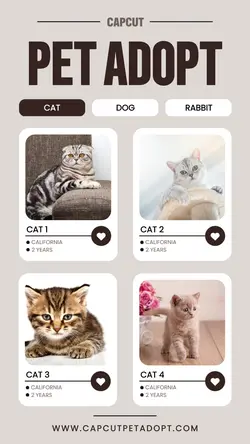 PET SERVICE ADOPT PET UI STYLE