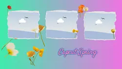 Non-marketing Facebook Profile Spring