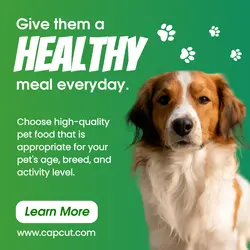 Healthy Pet - Instagram Post