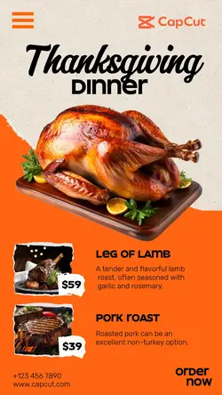 Thanksgiving Dinner Instagram Story