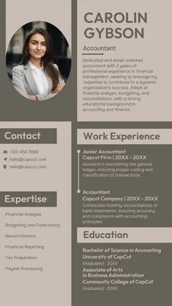 Business Resume Work Experience Accountant