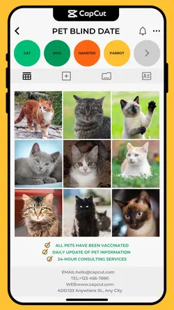 Pet supplies Personal sharing show Collage Style