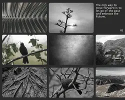 Non-Marketing Photo Collage Black Aesthetic