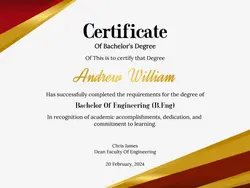 Non-marketing Certificate Red and Gold