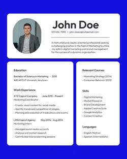 Business Personal CV