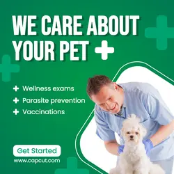 Pet Care - Instagram Post