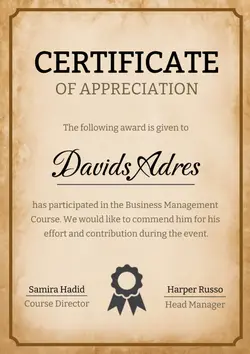 Non-Marketing Ceritificate Brown Vintage