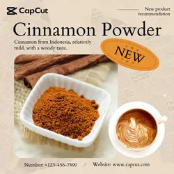 Condiment Cinnamon Powder New arrivals Retro Style