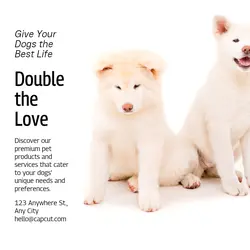 Pet industry General