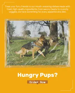 Pet industry Menu