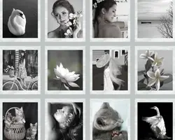 Non-Marketing Photo Collage Black Aesthetic