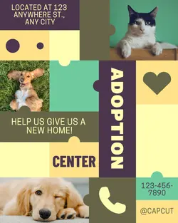 Capcut Adoption Center Poster