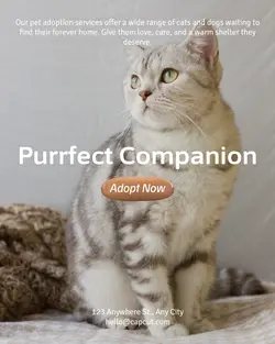 Pet industry General