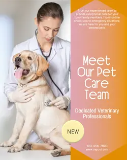 Pet industry Team introduction
