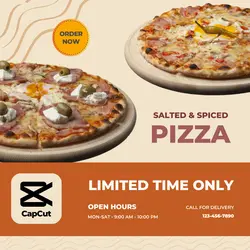 Foods - Pizza limited time FB IG Ads