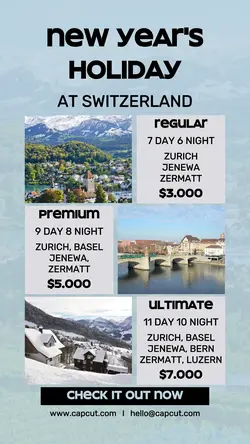 NEW YEAR'S HOLIDAY PROMOTION INSTAGRAM STORY