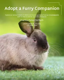 Pet industry General