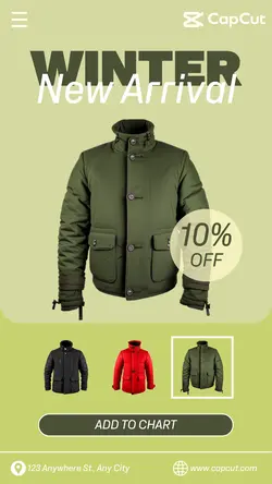 Winter Jacket New Arrival Instagram Story Green