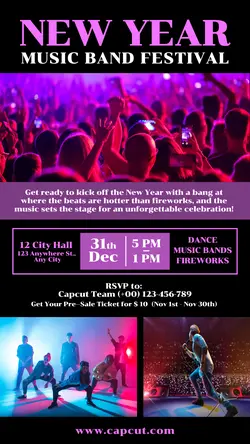 New Year Music Festival Promotion Instagram Story