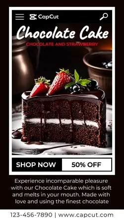Chocolate Cake Product Display TikTok