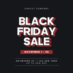 Black Friday Sale