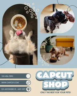 Pet Food Promotion Poster