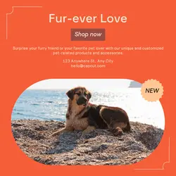 Pet industry Gift