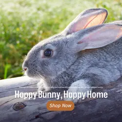 Pet industry General