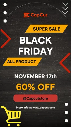 Black Friday Promotion Insta Story