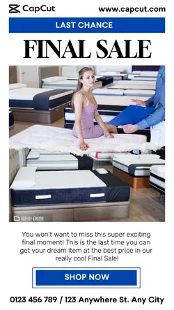 Final Sale Promotion Instagram Story