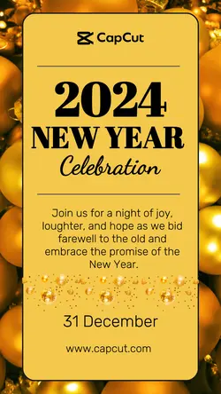 New Year Celebration Instagram Story