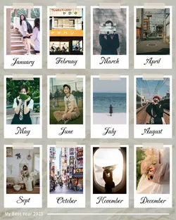 Non-Marketing Personal Sharing Photo Collage In A year