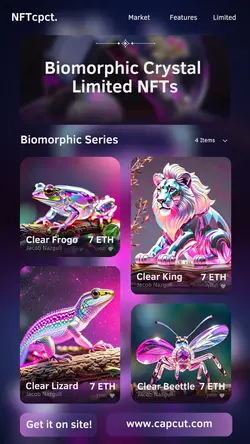 Cyber Monday NFT Limited Offers Display