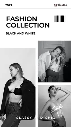 Fashion Collection Advertisement