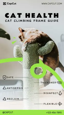 Cat rack Product display Minimalist