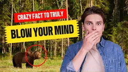 Youtube Thumbnail - Reaction
