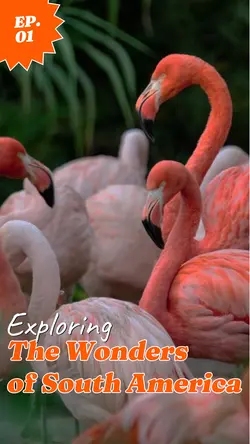 Wonders of Travel Youtube Thumbnail