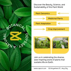 Natural Botanical Instagram Post
