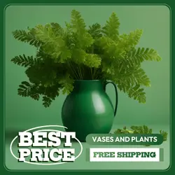 E-commerce Hero Image Household Vases and Plants
