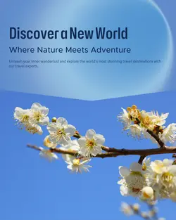 Travel industry General