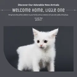 Pet industry New arrivals