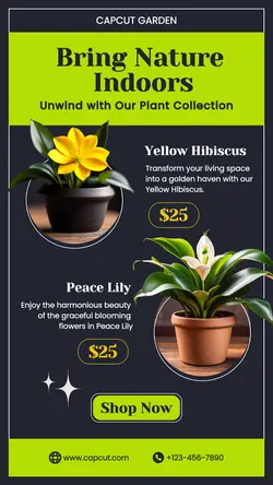Household Accessories Indoor Plant Collection