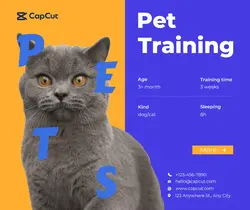 Pets Pet training show simple style