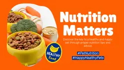 Orange Simple Pet Nutrition Tips YouTube Thumbnail