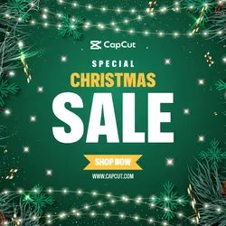 Green Lights Special Christmas Sale Template